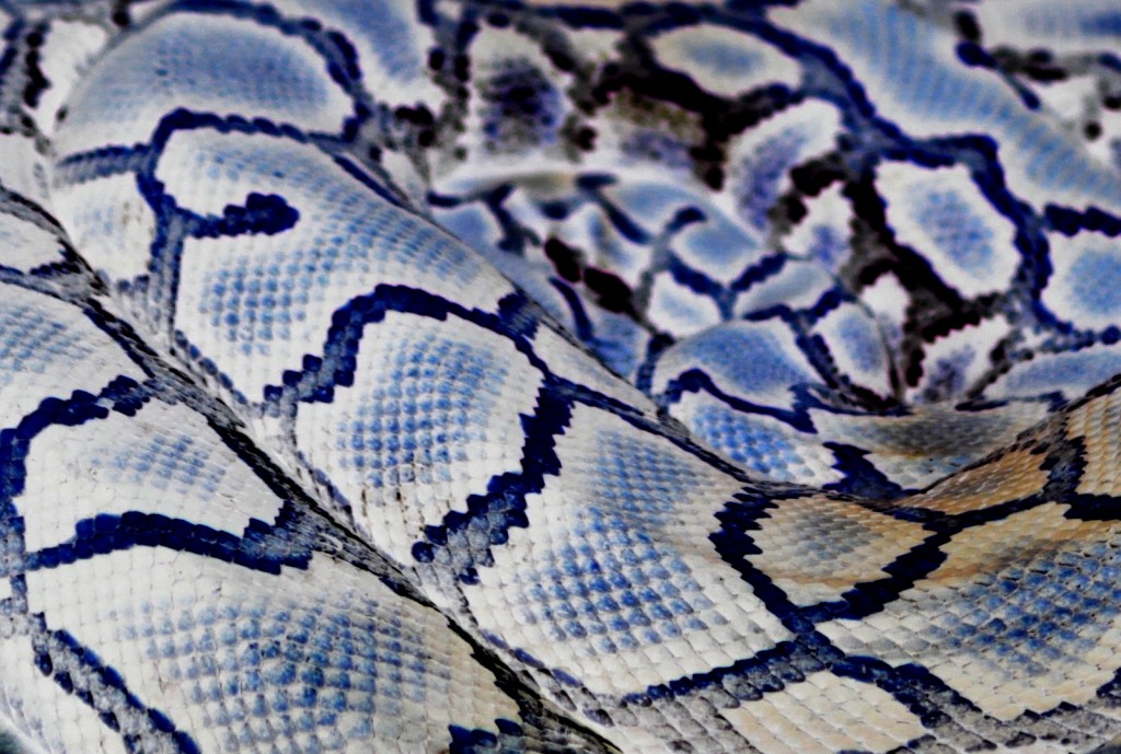 blue