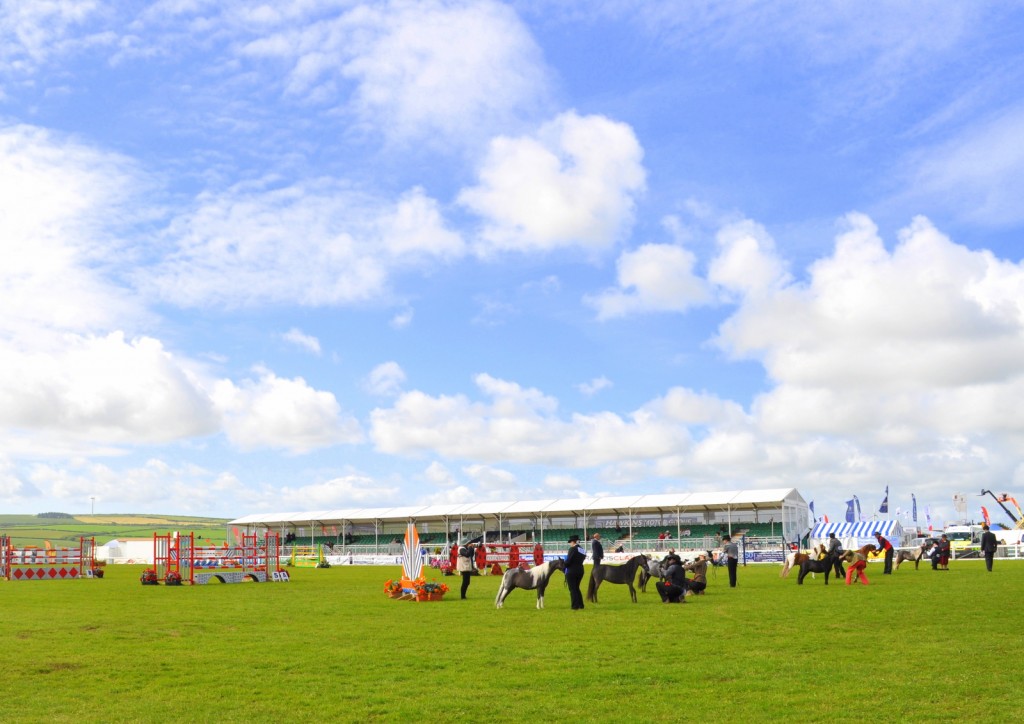 Royal Cornwall Show and food 133-001