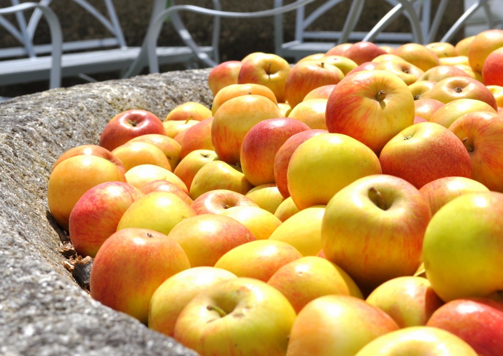 Royal Cornwall Show and food 261