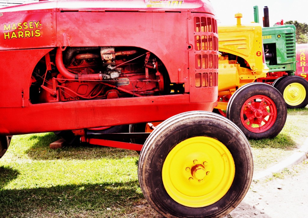 Royal Cornwall Show and food 280-001