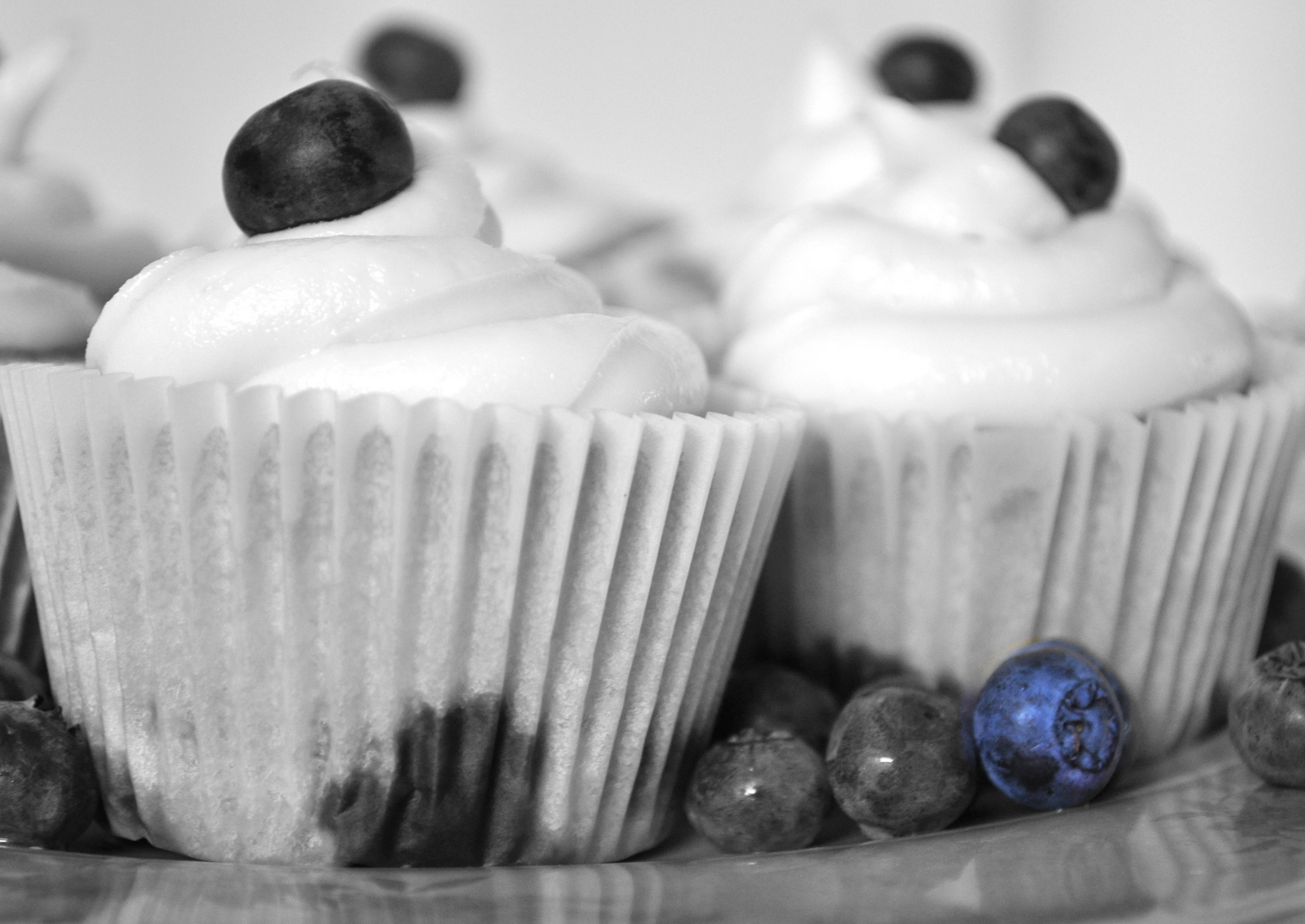 blueberry cupcakes 025-001